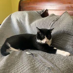 Meet your Posher, Danielle